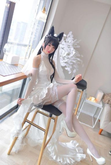 观鸟大年