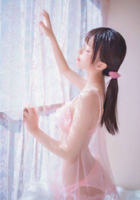 噼里啪啦免费高清看