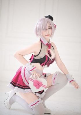 完美伴侣